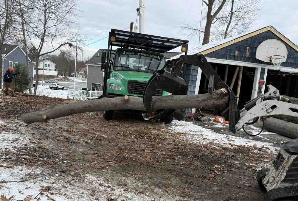 Urgent Tree Troubles? Emergency Removal Services in North Reading, MA
