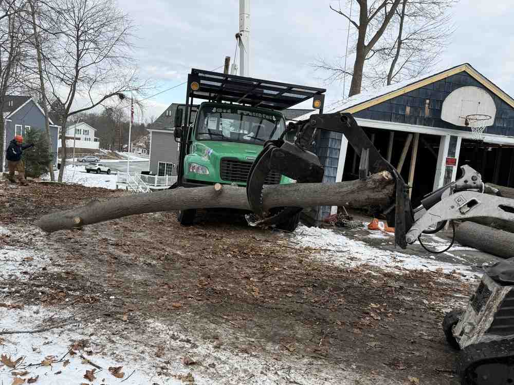 Urgent Tree Troubles? Emergency Removal Services in North Reading, MA