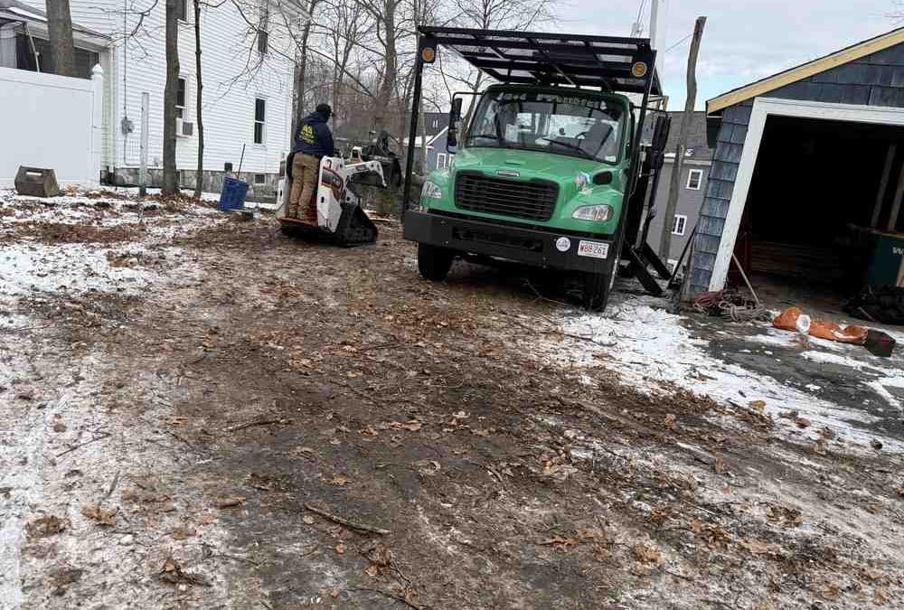 Branching Out: Top Tree Services in Nashua, NH