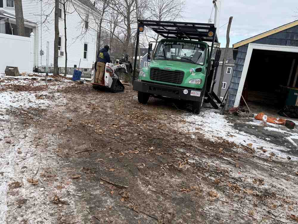 Branching Out: Top Tree Services in Nashua, NH