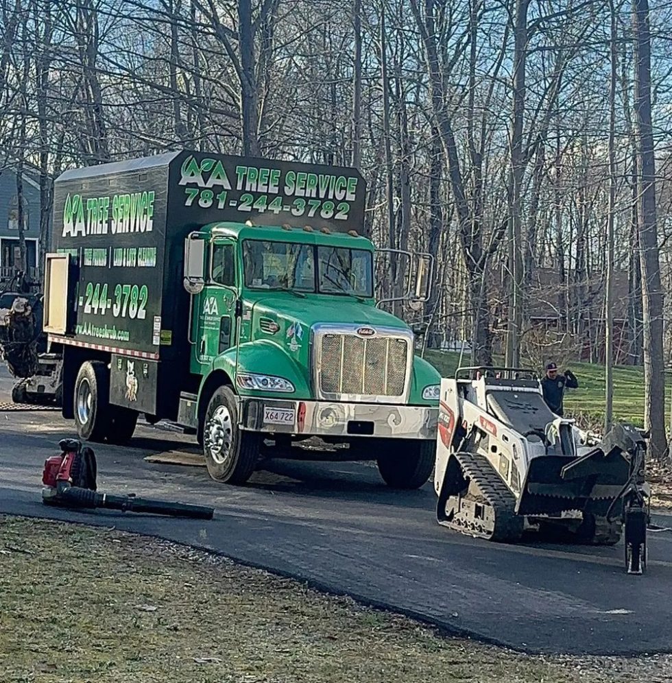 070 Tree Cutting Removal by AA Tree