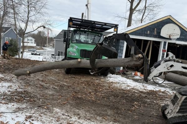 24/7 Emergency Tree Removal by AA Tree Service