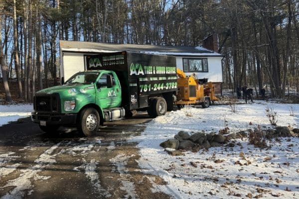 page AA Tree Service 013