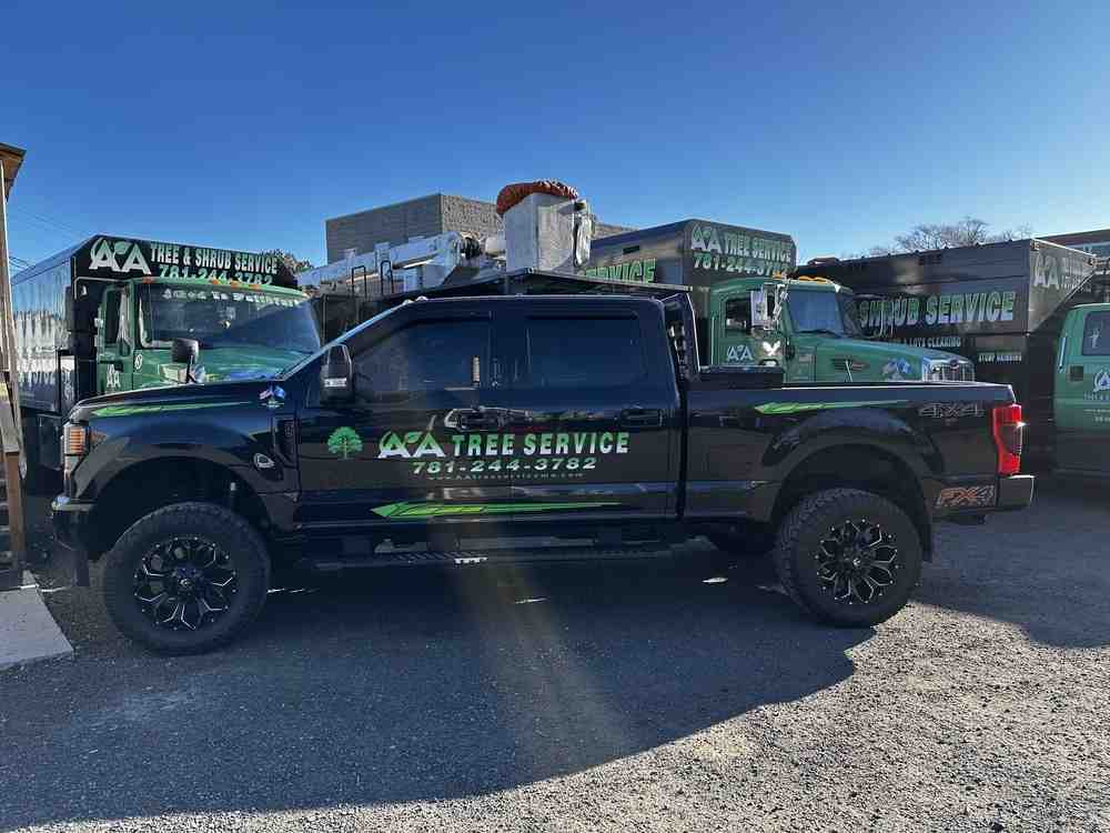 Newton’s Tree Trimming: A How-To Guide for Homeowners