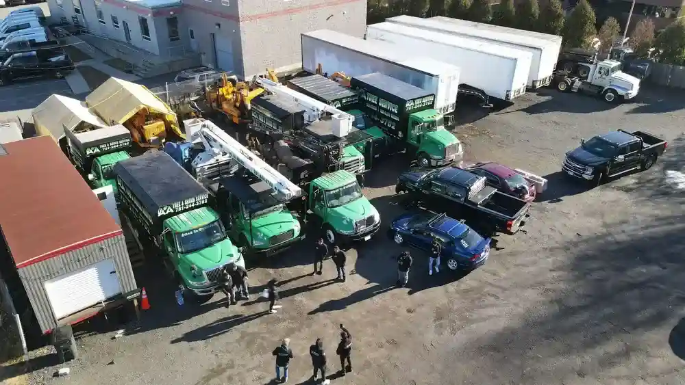 Chop Chop! The Leading Tree Removal Services in Windham NH