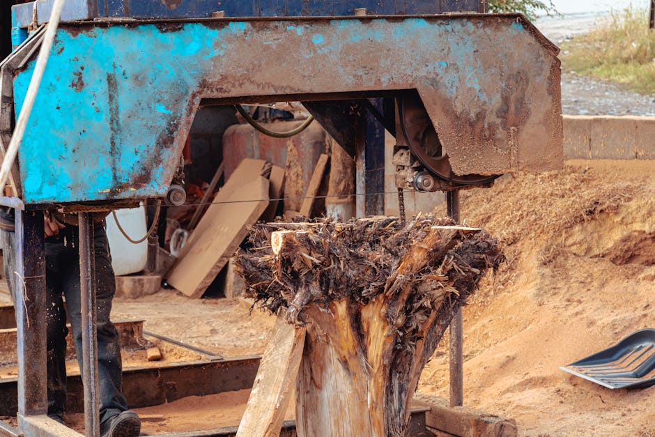 Permit Required: Understanding Newton’s Tree Removal Regulations