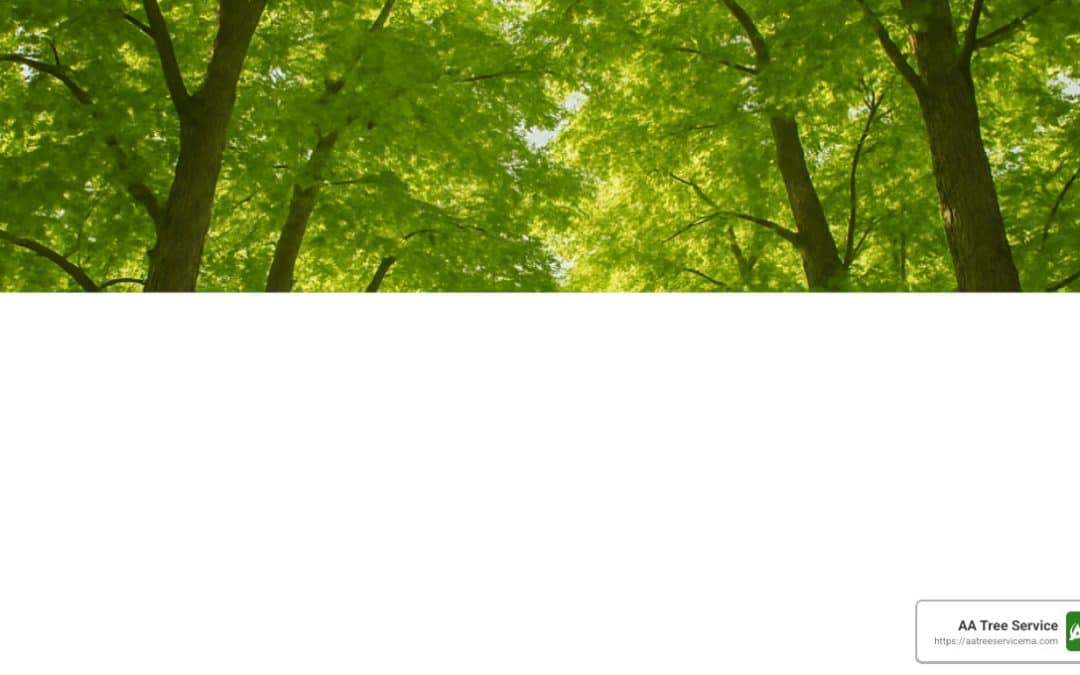Branch Out: Discover the Best Local Tree Services