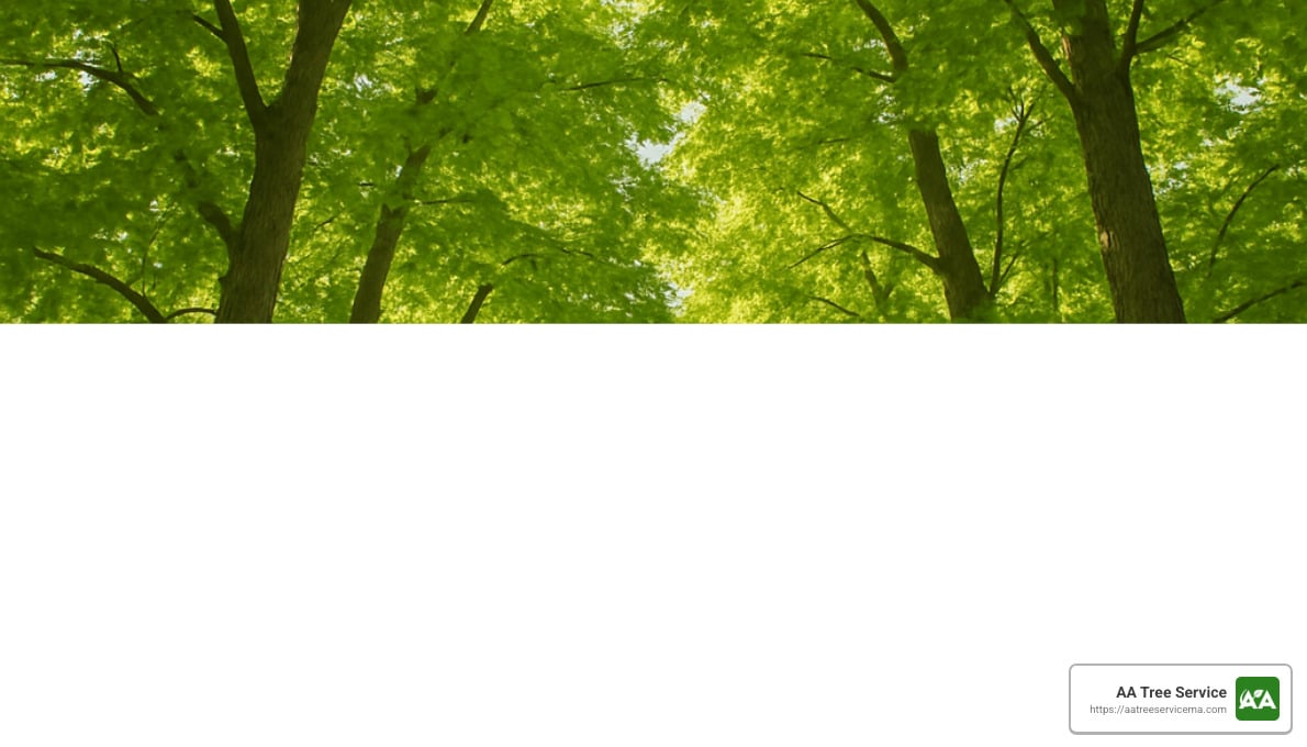 Branch Out: Discover the Best Local Tree Services