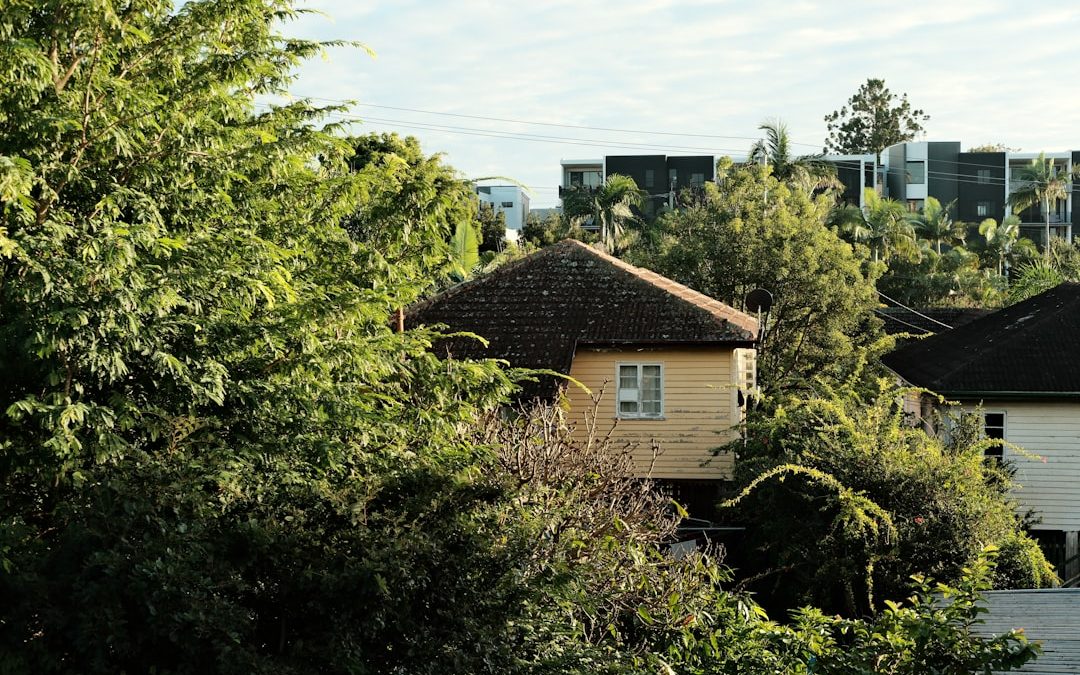 Tree-mendous Tips: How to Choose the Right Tree Maintenance Service