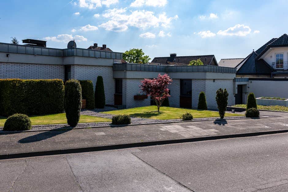 Leaf It to the Experts: A Roundup of Tree and Landscaping Services