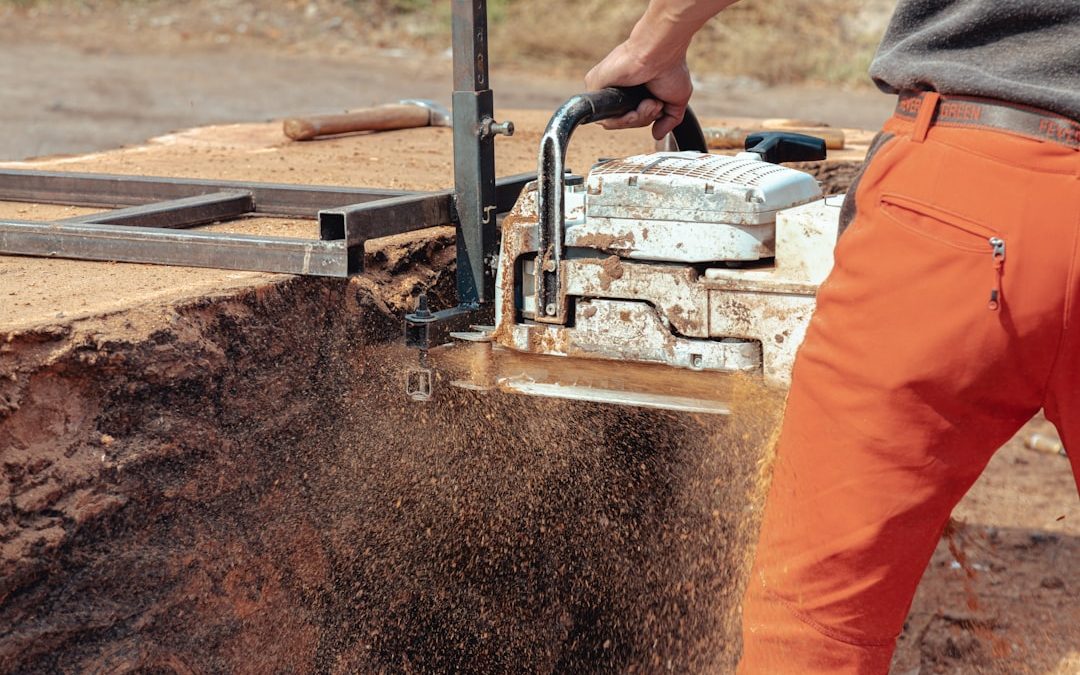 How to Remove a Tree Stump Quickly and Easily