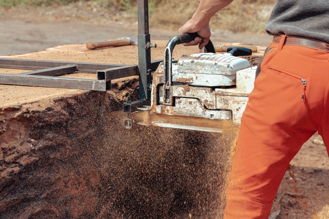 How to Remove a Tree Stump Quickly and Easily