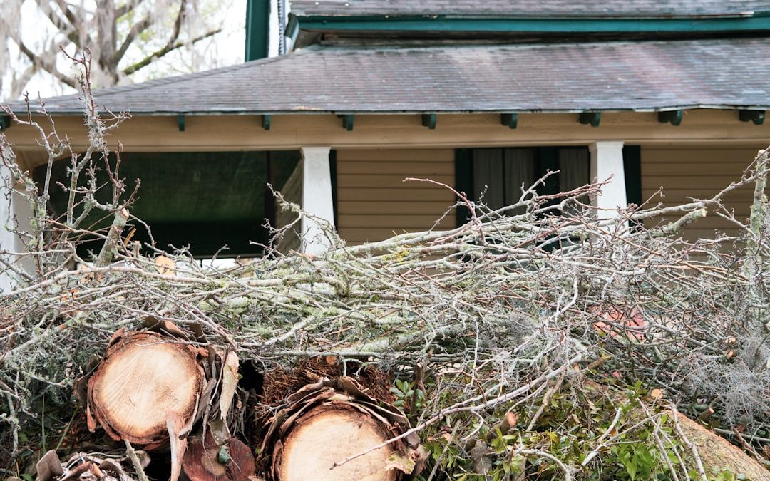 Homeowner’s Handbook for Residential Tree Removal Services