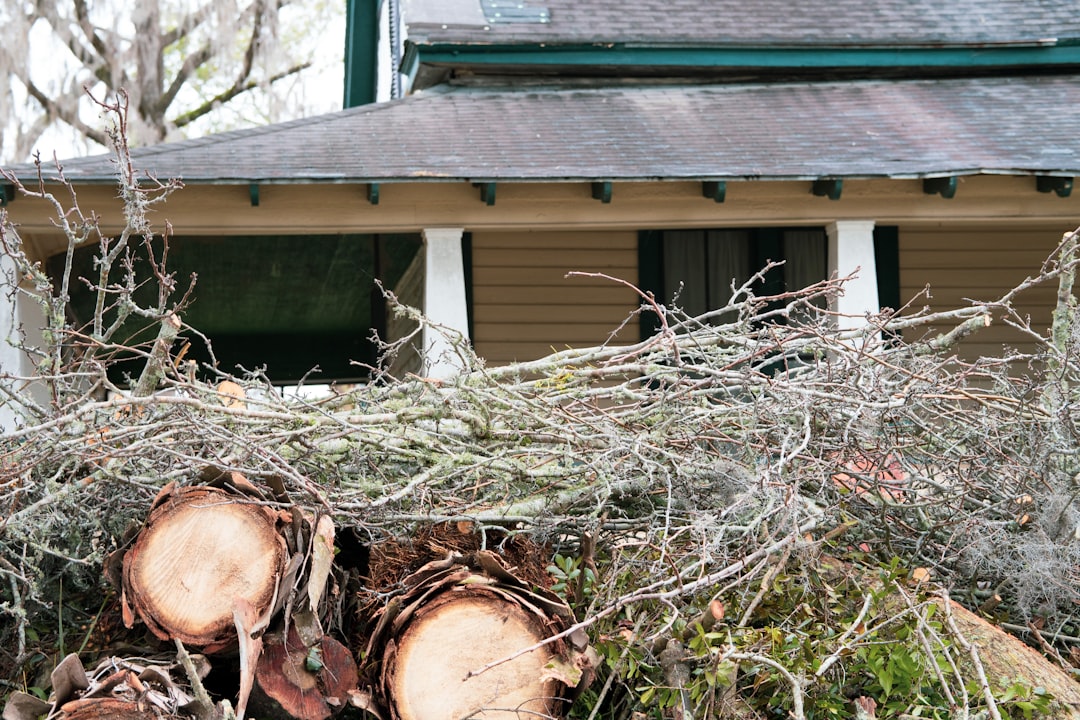 Homeowner’s Handbook for Residential Tree Removal Services Homeowner’s Handbook for Residential Tree Removal Services