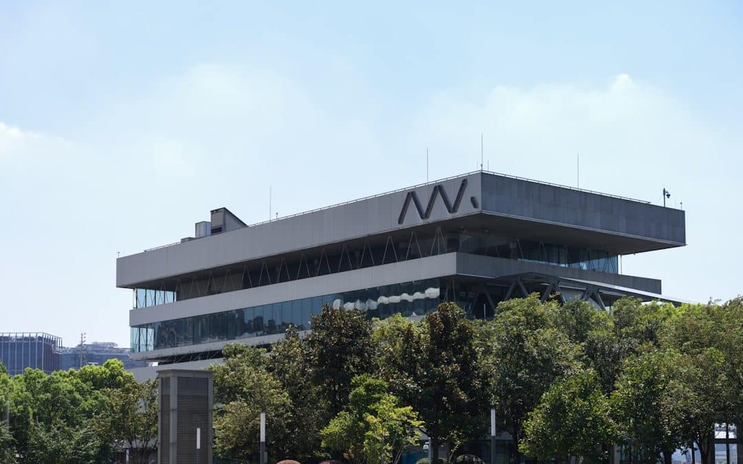 Top Tree Companies: Who’s Got the Best Roots?