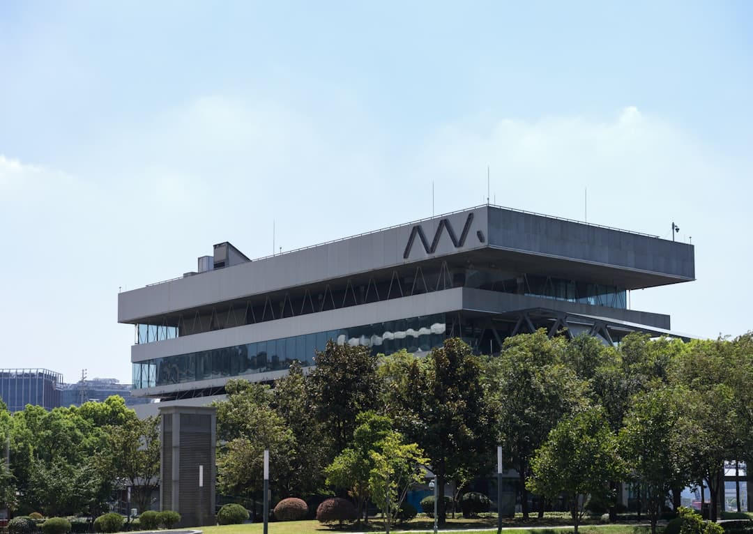 Top Tree Companies: Who’s Got the Best Roots?