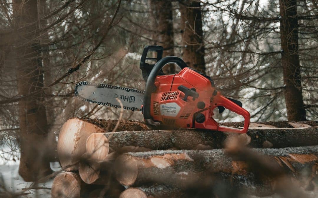 Emergency Tree Service Near Me: Fast, Reliable, and Ready