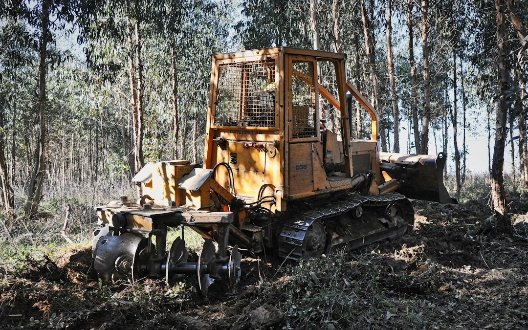 From Jungle to Gem – Landscaping Tree Removal Services Reviewed