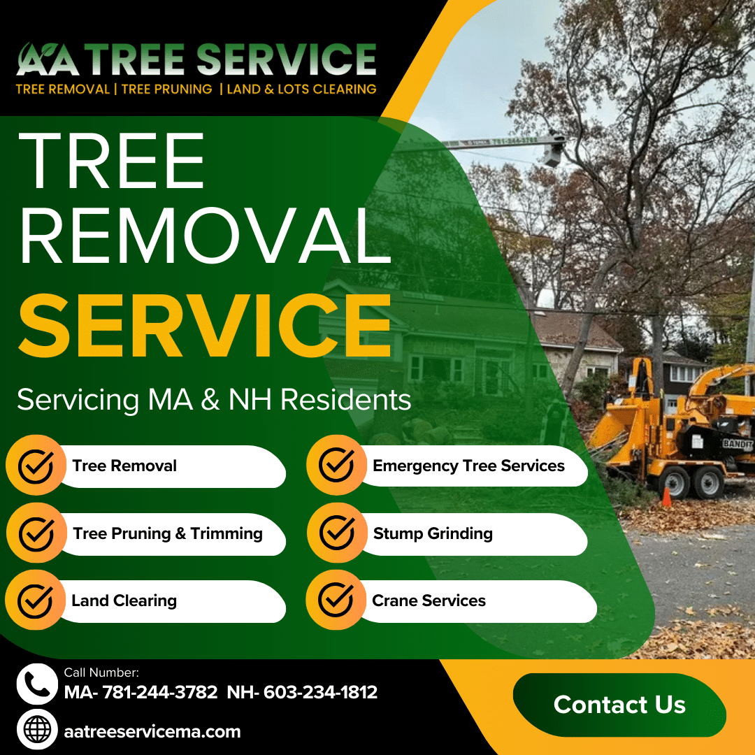 AA Tree Services in NH and MA