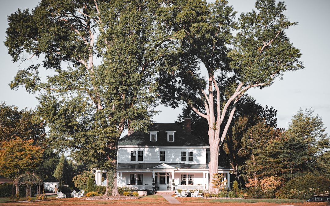 Navigating Tree Removal in Massachusetts: What You Need to Know