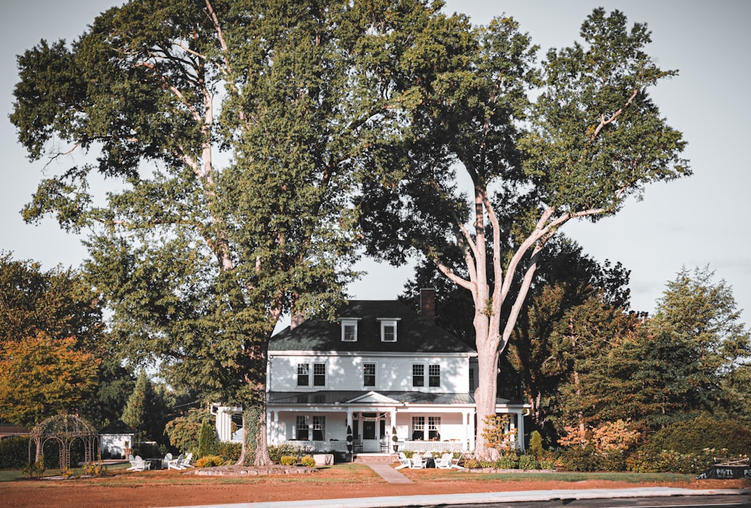 Navigating Tree Removal in Massachusetts: What You Need to Know