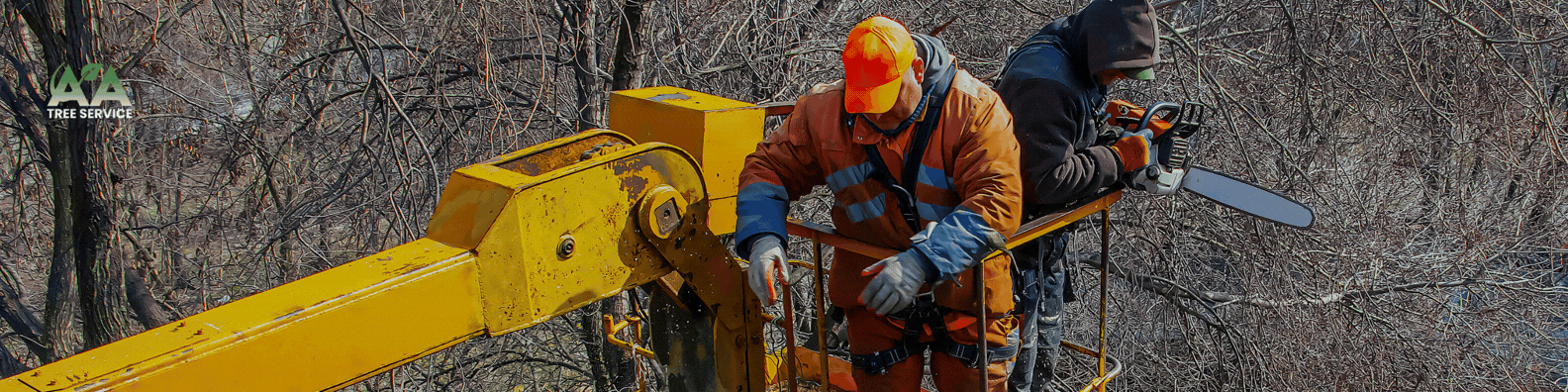 AA Tree Service