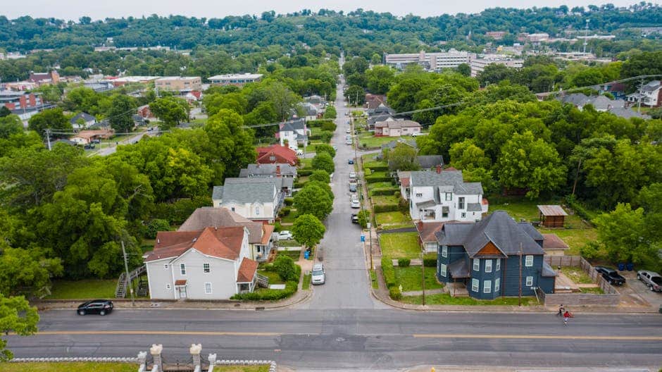 The Ultimate Guide to Tree Removal in Winchester, MA The Ultimate Guide to Tree Removal in Winchester, MA