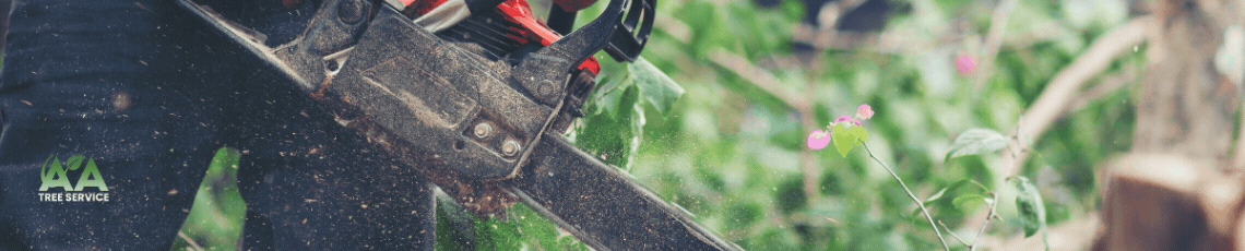 7 Warning Signs You Need Tree Removal in Massachusetts