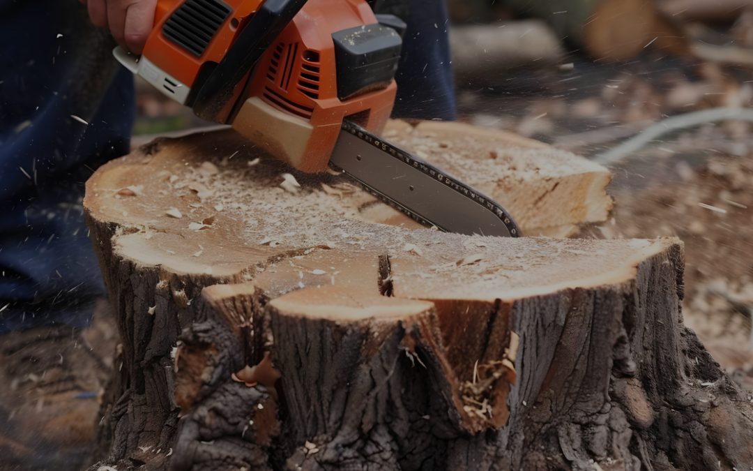Three ways to get rid of a tree stump — and which one is right for your yard