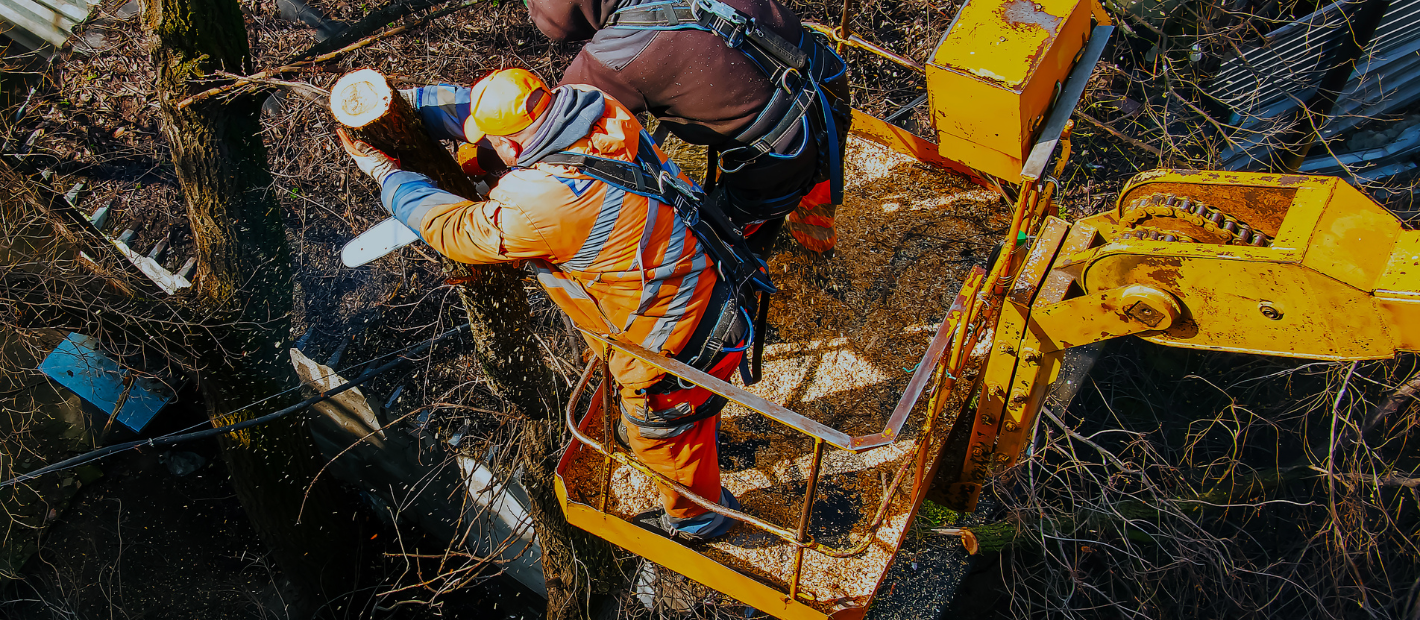 Why Professional Land Clearing Is Worth It (and What DIY Costs You)