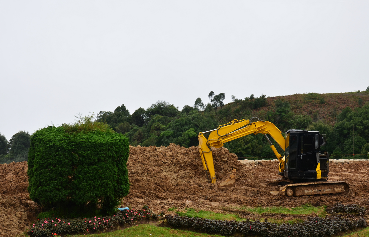 Excavator clearing trees and brush from a property in New England