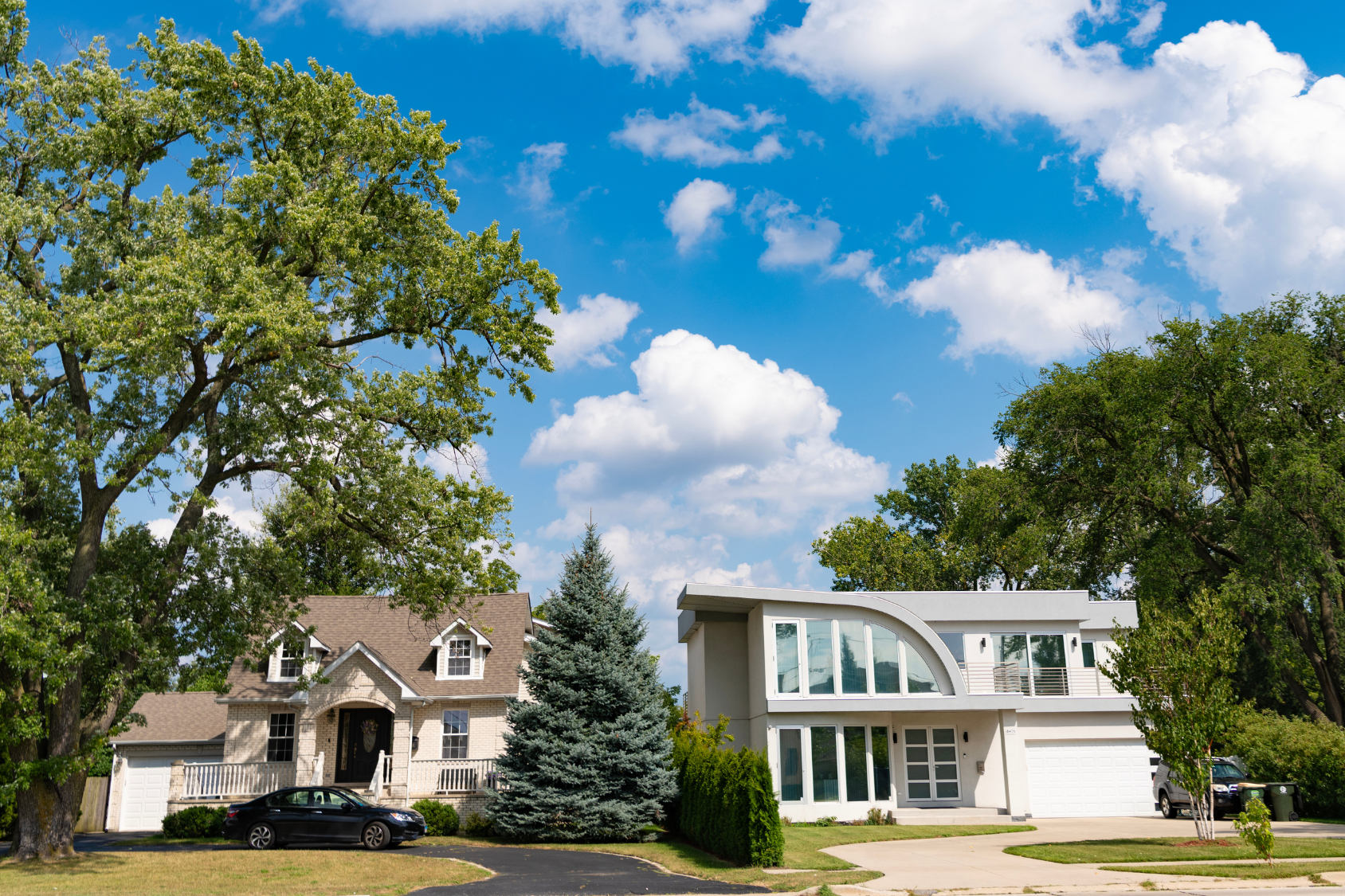 Mature preserved tree standing healthy on a finished Massachusetts property after construction
