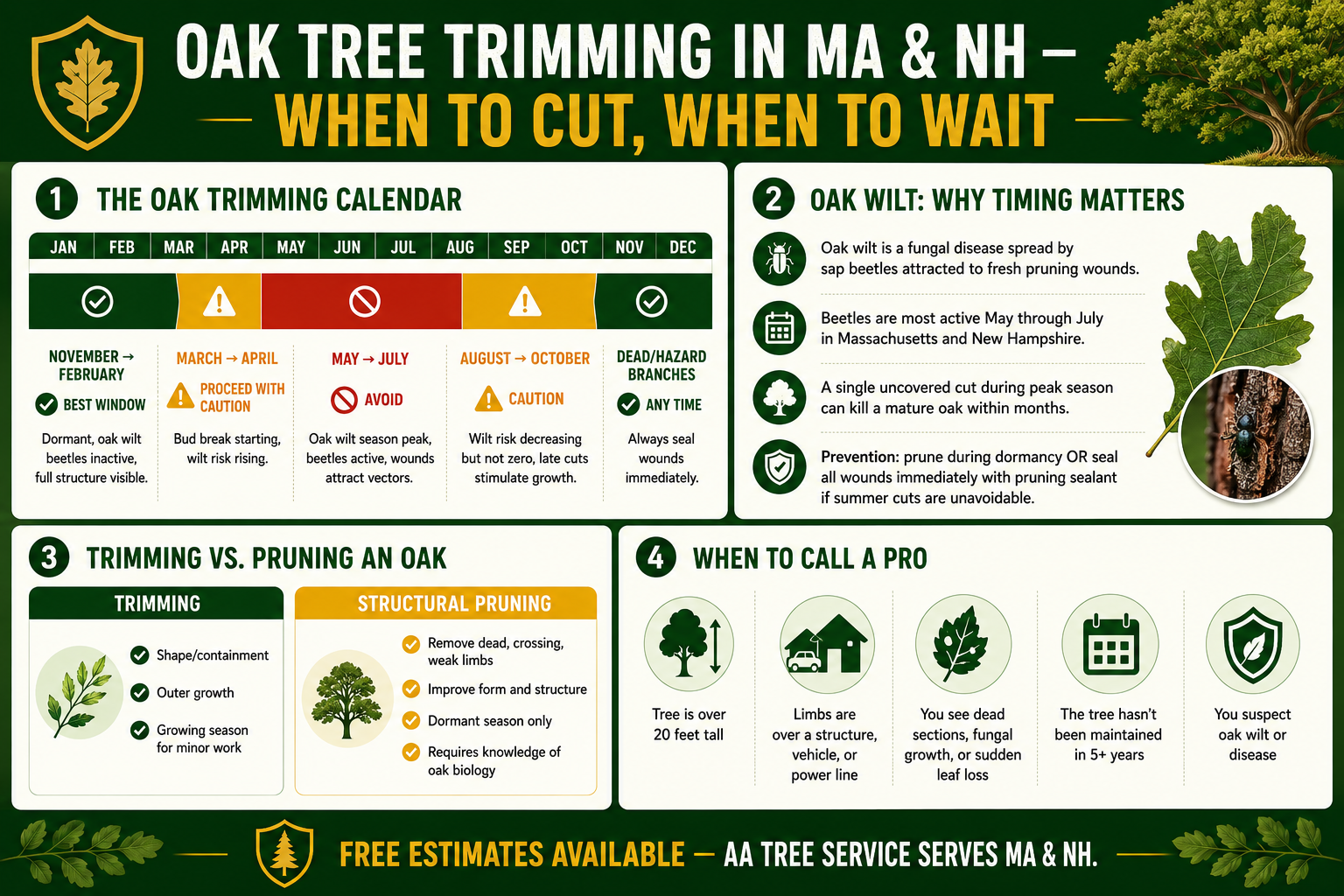 Oak tree trimming seasonal calendar for Massachusetts and New Hampshire — oak wilt risk windows, trimming vs pruning, when to call a pro